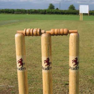 cricket
